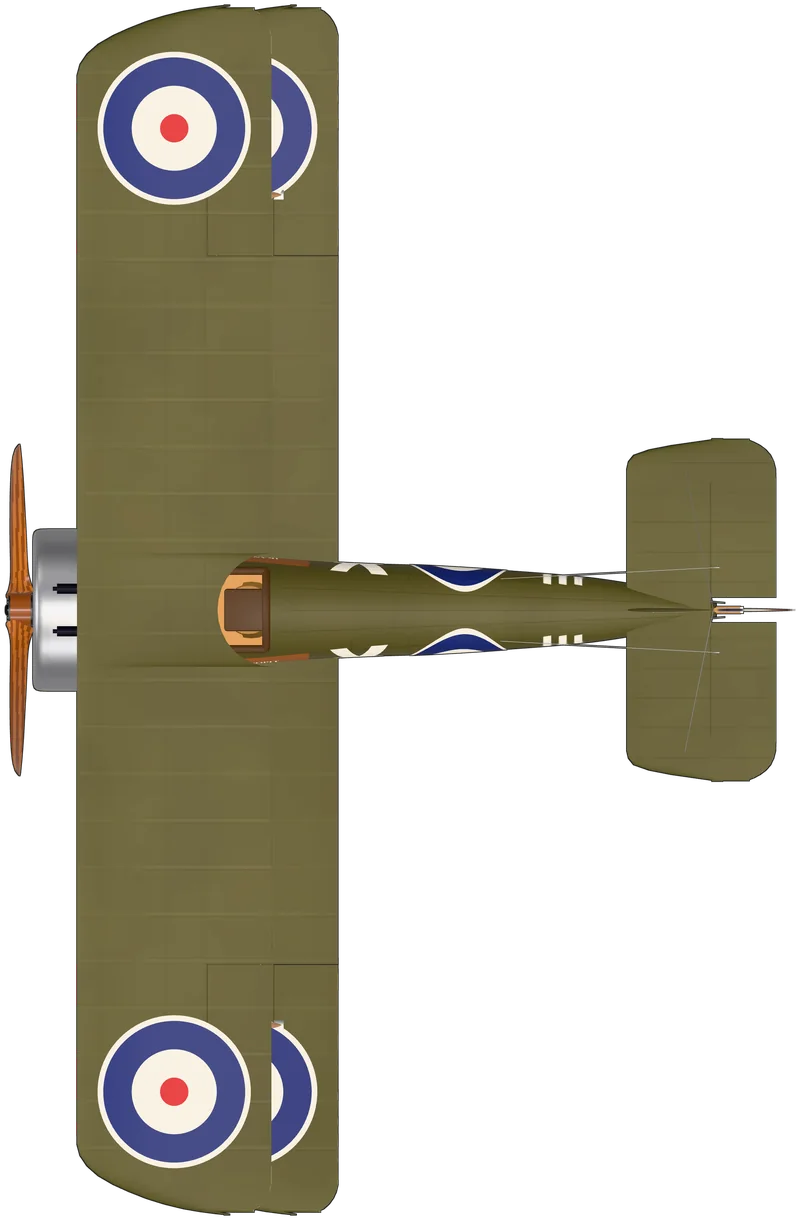 Top view of the Sopwith Camel, Camel F.1 G-BZSC (‘D1851’)