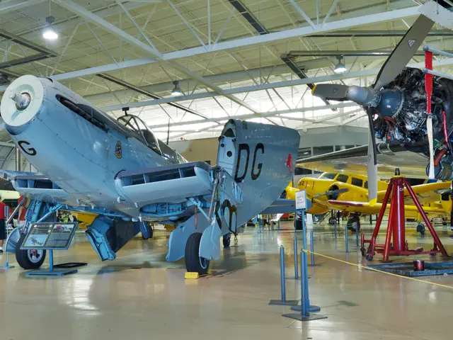 Blue-grey Fairey Firefly naval fighter with DG codes on its fin, wings partly folded, in the museum hangar