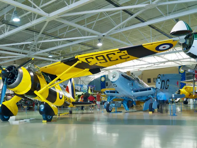 Yellow and black striped Westland Lysander high-wing monoplane in the hangar, with other aircraft behind